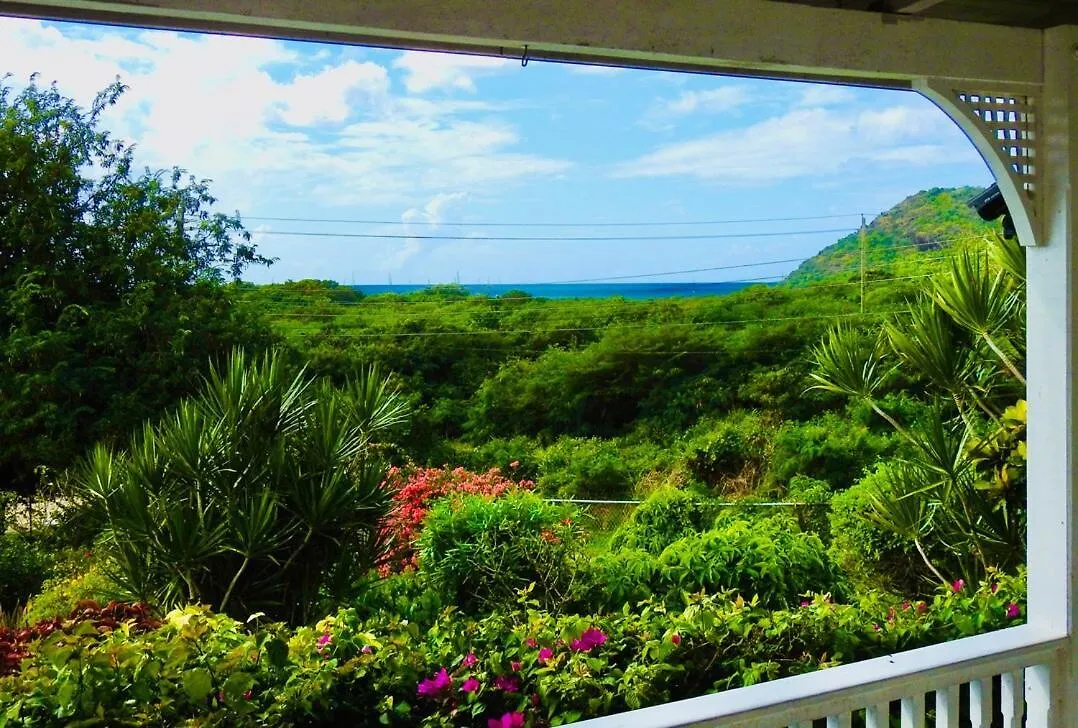 Summer Breeze - Tropical Garden And Private Pool Jolly Harbour